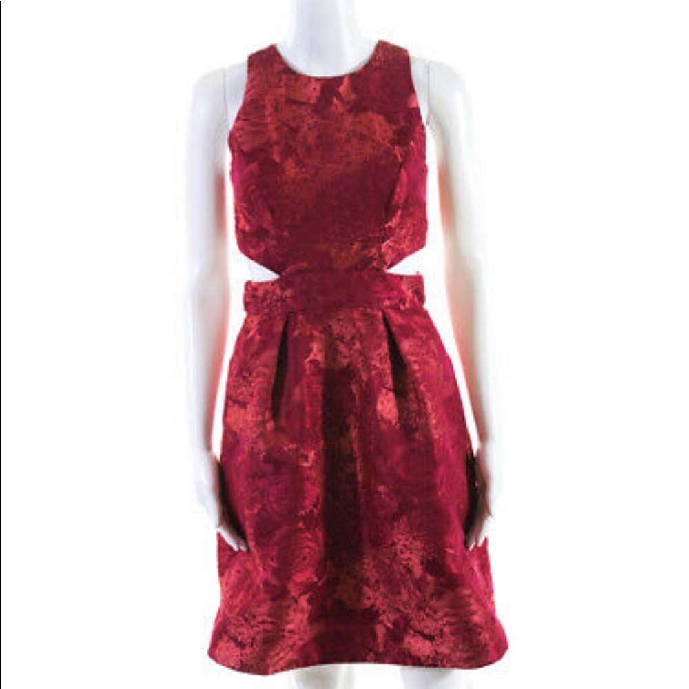 Theia Sleeveless Cut Out Alexis Dress Pink s 6